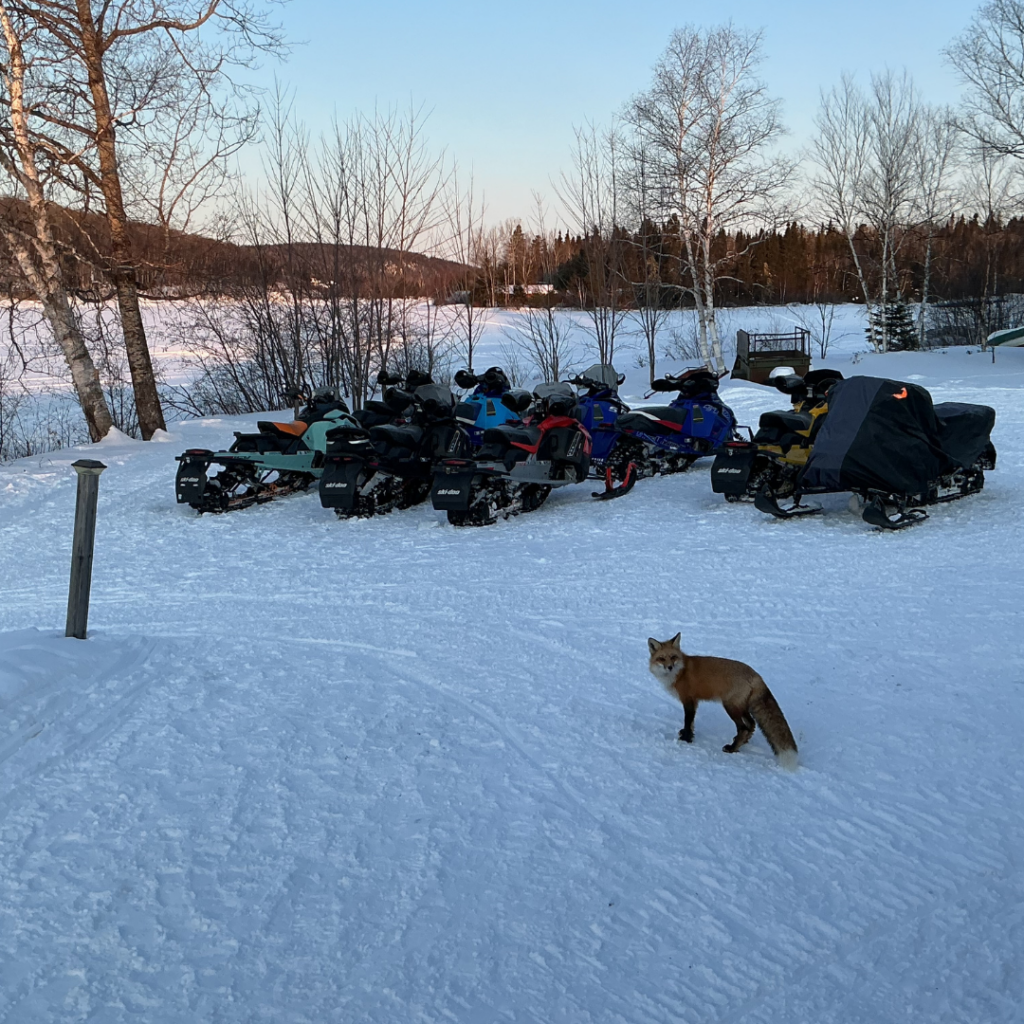 motoneige québec